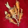 carrot project thumbnail