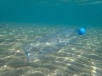 Underwater Trash Detection project thumbnail
