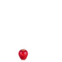 BAD APPLE!! project thumbnail