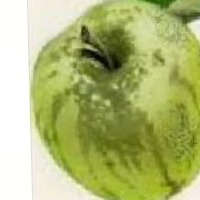 fruits and vegetables  project thumbnail