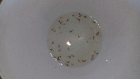 teste project thumbnail