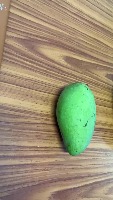 Ripening States Of Mango project thumbnail