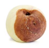 apple project thumbnail