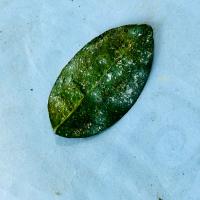 lemon-leaf-disease project thumbnail