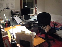Dataset Image