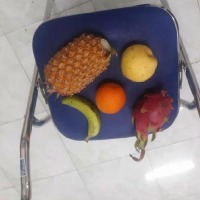 Dataset Image
