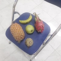 Dataset Image