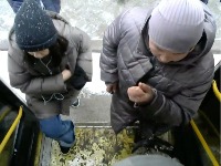 People heads inside bus project thumbnail