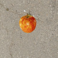 Dataset Image