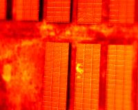 detection project thumbnail