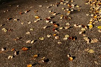 Potholes_v5 project thumbnail