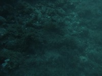 underwater pipes project thumbnail