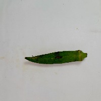 okra_color project thumbnail