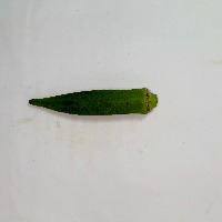okra_shape project thumbnail