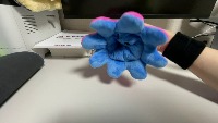 Dataset Image