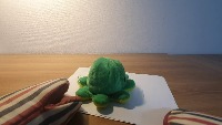 Dataset Image