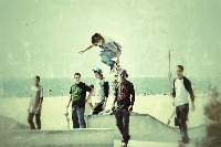 Dataset Image