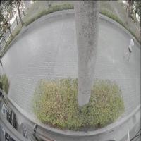 person detection project thumbnail