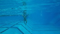 Drowning/Swimming Poses project thumbnail