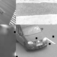 Dataset Image