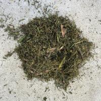 litter detection project thumbnail