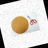 Dataset Image