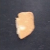 animal_crackers project thumbnail