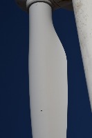 叶片缺陷新 project thumbnail