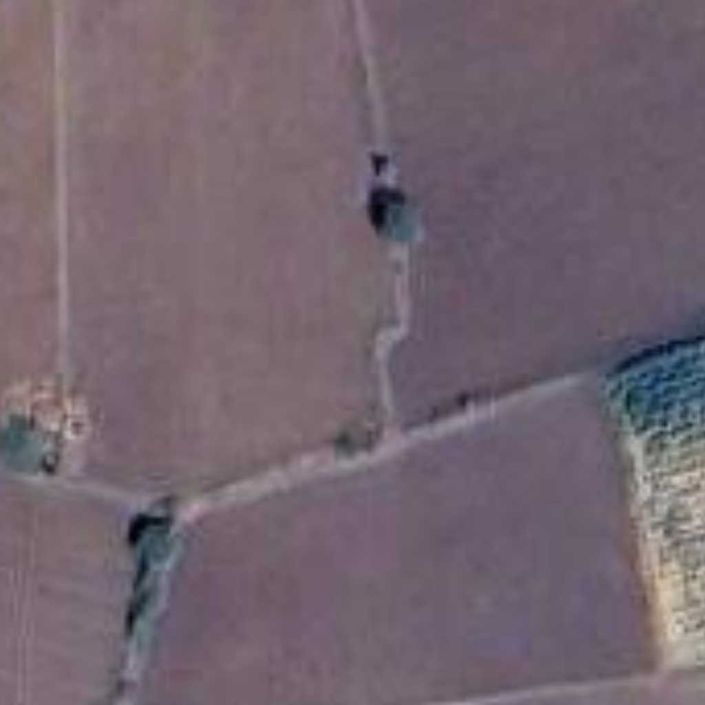 Farmland Tiff Instance Segmentation Model By Jeet