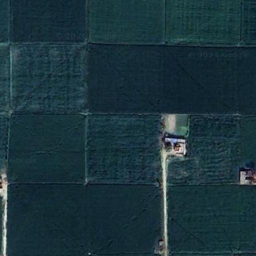 Farm Segmentation semantic-farm Semantic Segmentation Model by jeet