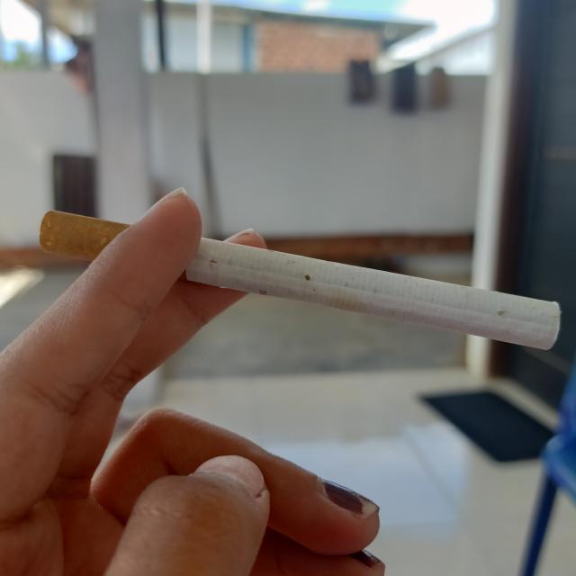 Deteksi Rokok Object Detection Model by fadhilhakim35