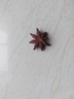 spice detection project thumbnail