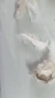 cotton_defect project thumbnail