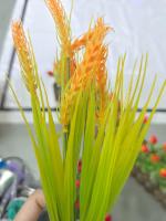 crop-condition-detection project thumbnail