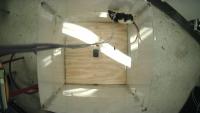Rat_Detector_OF_TD project thumbnail