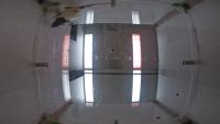 Rat_Detection project thumbnail