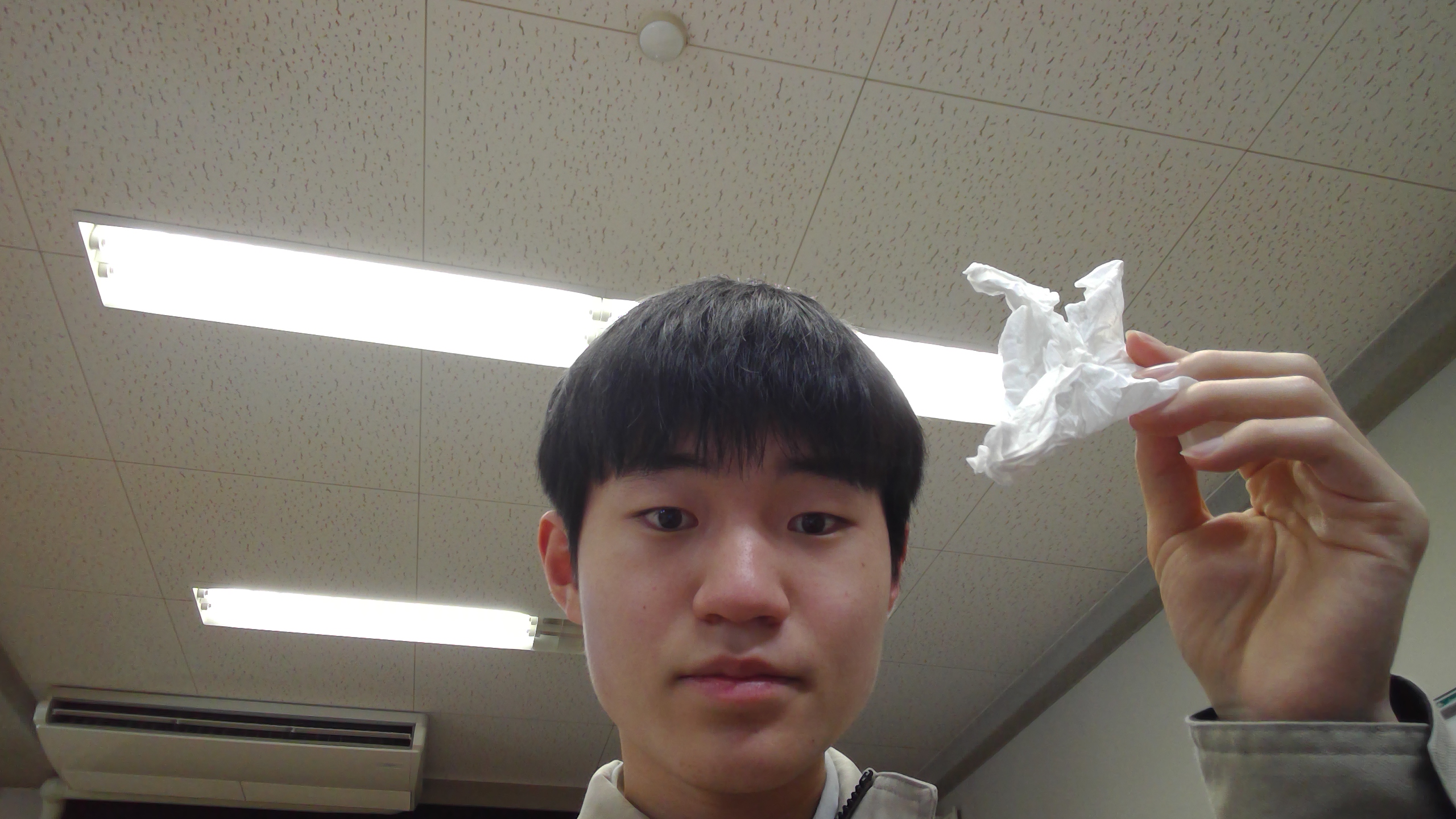 Tissue3 object detection dataset by isimoto