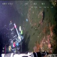 underwaterobjectidentification project thumbnail