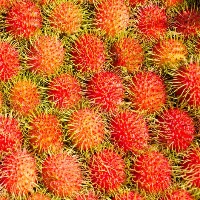 TVM rambutan-peel project thumbnail