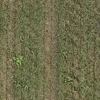 Weed Object Detection Model by Yaojiang