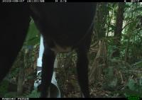 Mongoose PR 2 project thumbnail