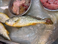 fish label project thumbnail
