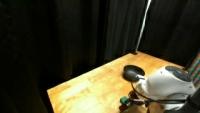 My First Project project thumbnail
