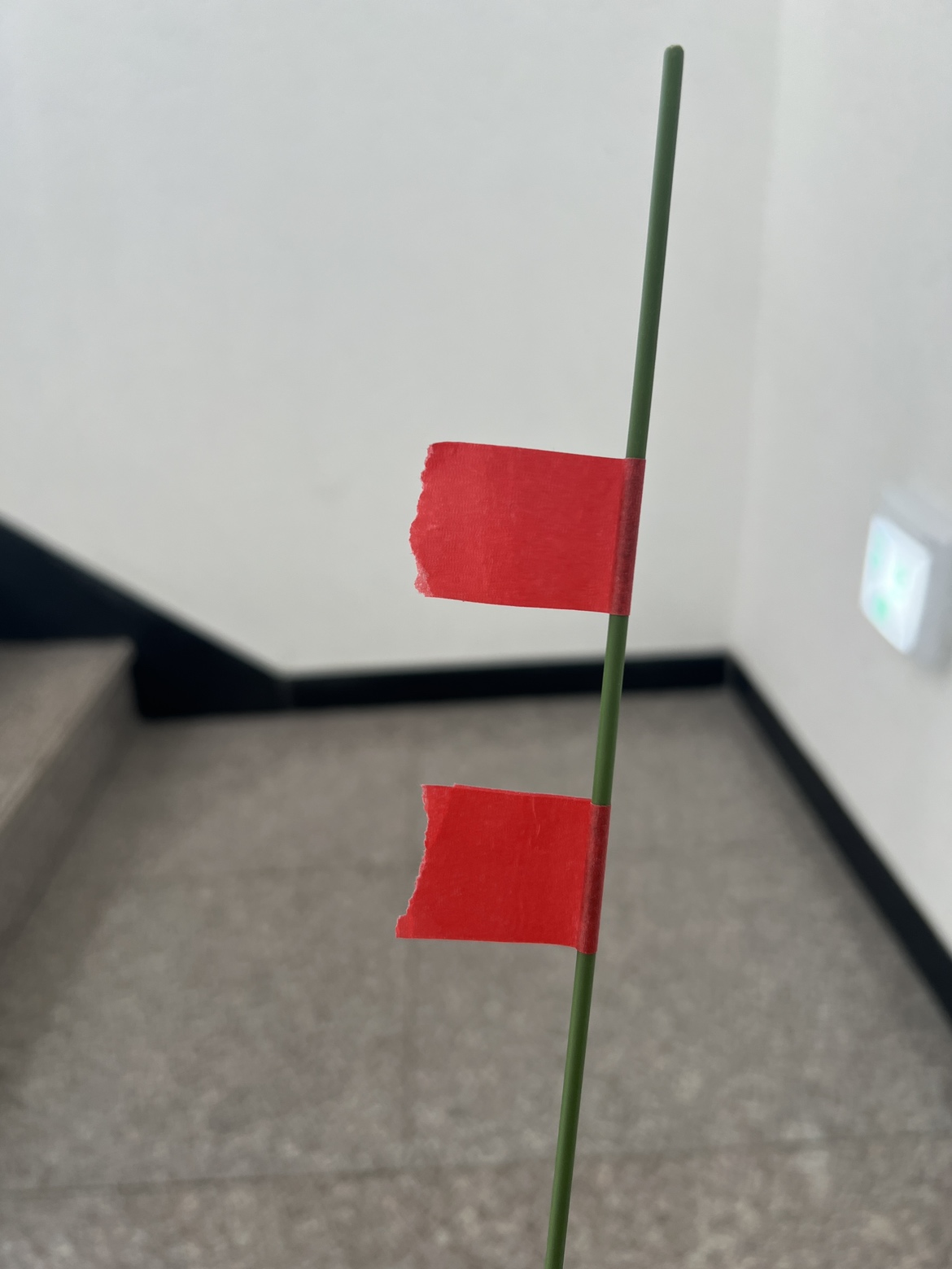 test2 Instance Segmentation Dataset by project-dtrfz