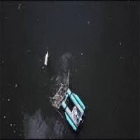Final Plastic detection project thumbnail