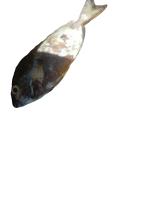 Classification project thumbnail