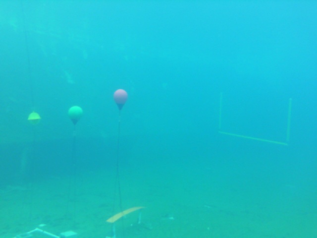 Underwater Object Detection Model by Project