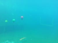 Underwater project thumbnail