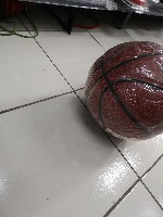 Dataset Image