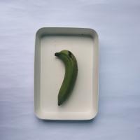 DATASET PISANG new project thumbnail